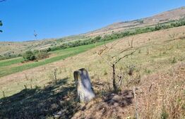 Teren extravilan 5008 mp, in Iara