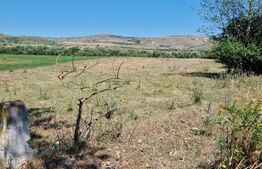 Teren extravilan 5008 mp, in Iara