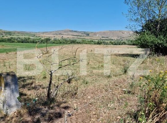 Teren de vânzare Iara - 176354TV | BLITZ Cluj-Napoca | Poza3