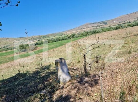 Teren de vânzare Iara - 176354TV | BLITZ Cluj-Napoca | Poza2