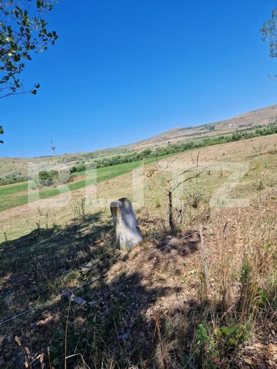 Teren de vânzare Iara - 176354TV | BLITZ Cluj-Napoca | Poza2