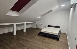 Apartament 4 camere, 157 MP, parcare, Pet friendly, zona strazii Frunzisului