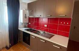 Apartament 2 camere, 50 mp, mobilat modern, zona strazii Mircea Eliade