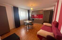 Apartament 2 camere, 50 mp, mobilat modern, zona strazii Mircea Eliade