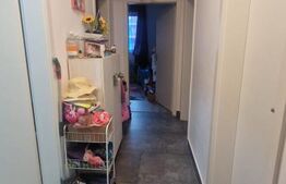 Apartament in Grandis, luminos, calduros, 2 camere, loc parcare, Tractorul