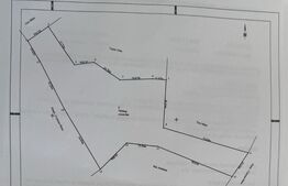 Teren extravilan 7000 mp, Rasca 