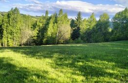 Teren extravilan 7000 mp, Rasca 