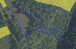 Teren extravilan 7000 mp, Rasca 