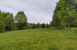 Teren extravilan 7000 mp, Rasca 