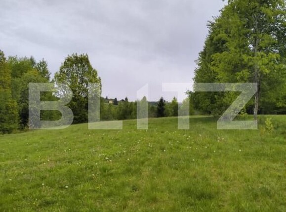 Teren de vânzare Gilău - 176459TV | BLITZ Cluj-Napoca | Poza2