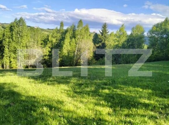 Teren de vânzare Gilău - 176459TV | BLITZ Cluj-Napoca | Poza1