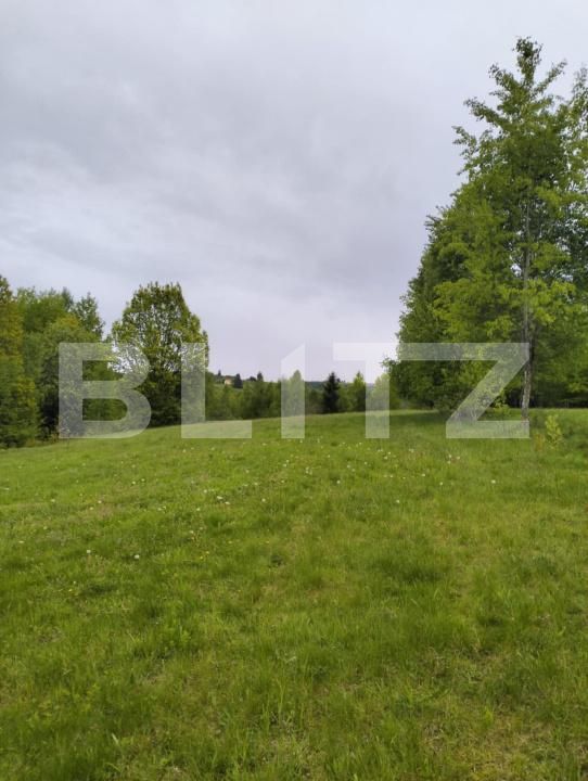 Teren de vânzare Gilău - 176459TV | BLITZ Cluj-Napoca | Poza2