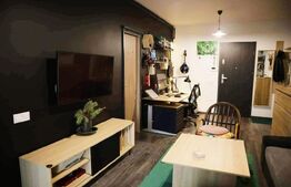 Apartament 1 camera cu nisa de dormit Grand Park, terasa 14mp