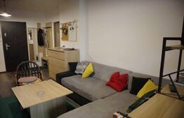 Apartament 1 camera cu nisa de dormit Grand Park, terasa 14mp