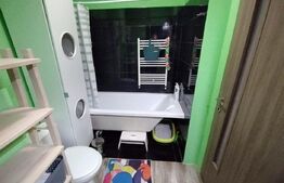 Apartament 1 camera cu nisa de dormit Grand Park, terasa 14mp