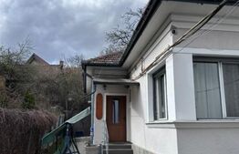 2 case de vânzare/închiriere – Calea Turzii, Cluj-Napoca