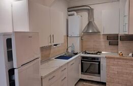 2 case de vânzare/închiriere – Calea Turzii, Cluj-Napoca