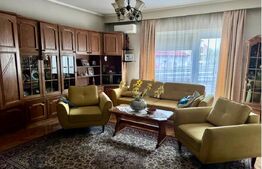 2 case de vânzare/închiriere – Calea Turzii, Cluj-Napoca