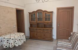 2 case de vânzare/închiriere – Calea Turzii, Cluj-Napoca