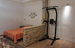 2 case de vânzare/închiriere – Calea Turzii, Cluj-Napoca