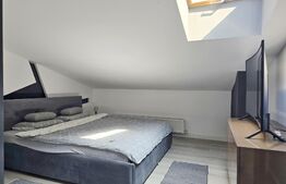 Duplex, 4 dormitoare, pod amenajat, gradina, str. Crizantemelor