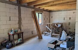 Proiect turistic Hotel–Pensiune, 6 dormitoare, Valea Ierii