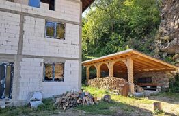 Proiect turistic Hotel–Pensiune, 6 dormitoare, Valea Ierii
