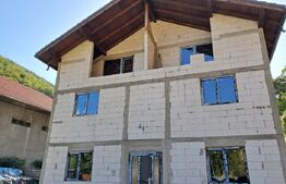 Proiect turistic Hotel–Pensiune, 6 dormitoare, Valea Ierii