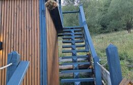 Cabană la Valea Ierii proprietate privată, într-o zonă liniștită