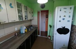 Apartament 3 camere, in zona parcului central, pet friendly