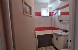 Apartament 3 camere, in zona parcului central, pet friendly