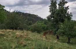 Casă la țară de vânzare – Cacova Ierii, Comuna Iara, Județul Cluj