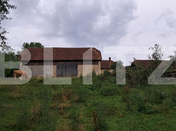 Casa de vânzare 4 camere Iara - 176605CV | BLITZ Cluj-Napoca | Poza7