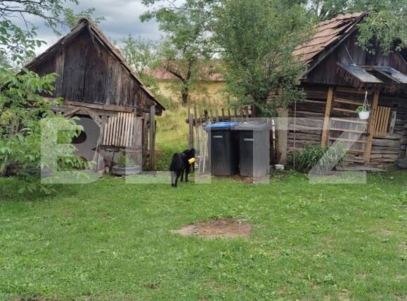 Casa de vânzare 4 camere Iara - 176605CV | BLITZ Cluj-Napoca | Poza5