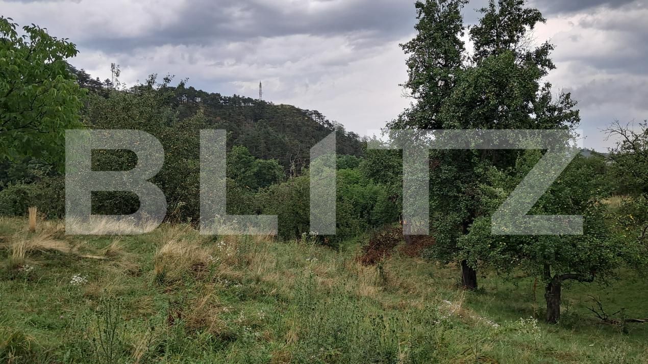 Casa de vânzare 4 camere Iara - 176605CV | BLITZ Cluj-Napoca | Poza10