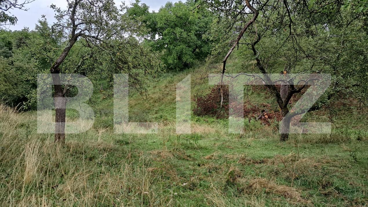 Casa de vânzare 4 camere Iara - 176605CV | BLITZ Cluj-Napoca | Poza11