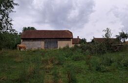 Proprietate în Iara 6.000  teren, ideală pentru casă sau investiție