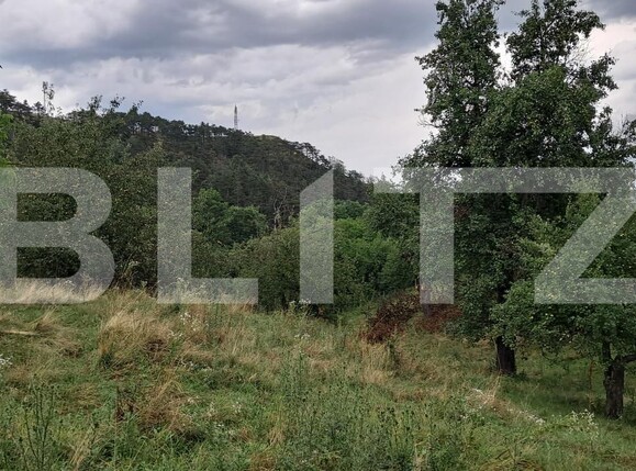 Casa de vânzare 4 camere Iara - 176606CV | BLITZ Cluj-Napoca | Poza10