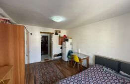 Garsoniera de vanzare, 22 mp, zona Astra