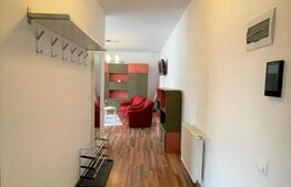 Apartament 2 camere , 50 mp, zona Taietura Turcului 