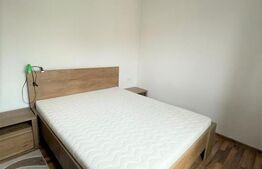 Apartament 2 camere , 50 mp, zona Taietura Turcului 