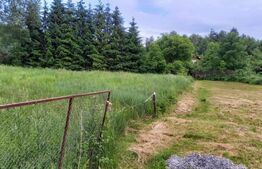 Exclusivitate ! Teren intravilan construibil  1755 mp, front 49m, zona Faget ! 