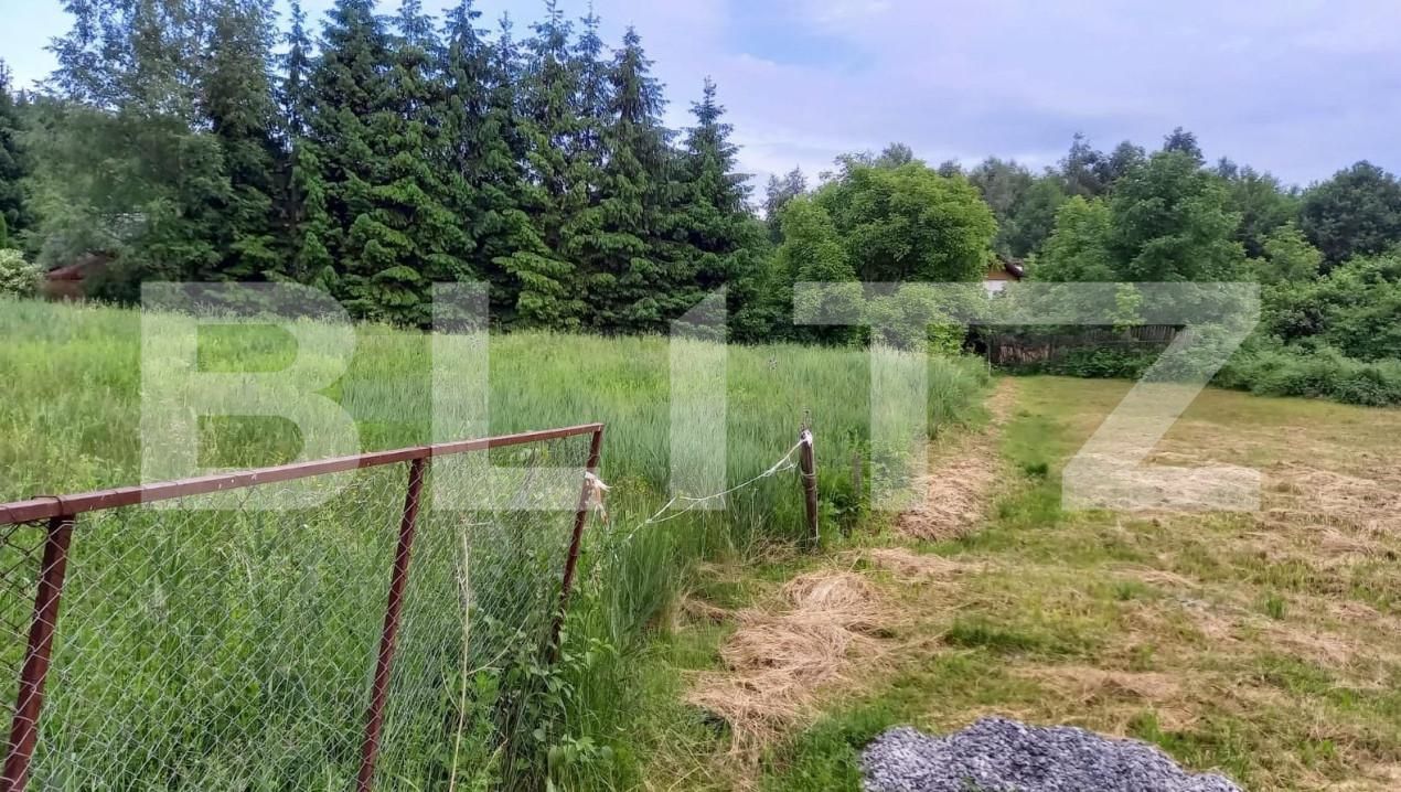 Teren de vânzare Făget - 176690TV | BLITZ Cluj-Napoca | Poza1