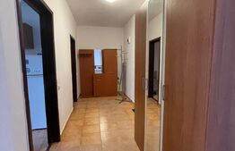1 camera, 45 mp, decomandat, pet friendly, zona strazii Padurii