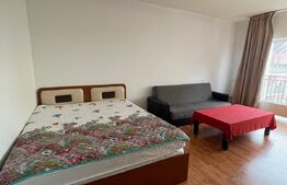 1 camera, 45 mp, decomandat, pet friendly, zona strazii Padurii