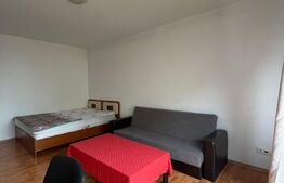 1 camera, 45 mp, decomandat, pet friendly, zona strazii Padurii