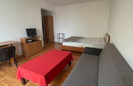 1 camera, 45 mp, decomandat, pet friendly, zona strazii Padurii