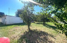 Casa pentru activitate de birou, 75 mp, terasa, gradina, zona Marasti 
