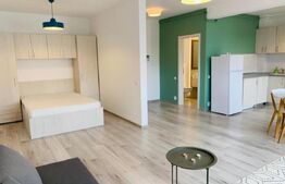 Apartament 1 Camera, 43 mp, Mobilat Modern, Piata Abator