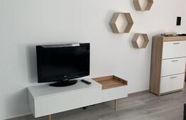 Apartament 2 camere, 46 mp, Semicentral, Parcul Feroviarilor